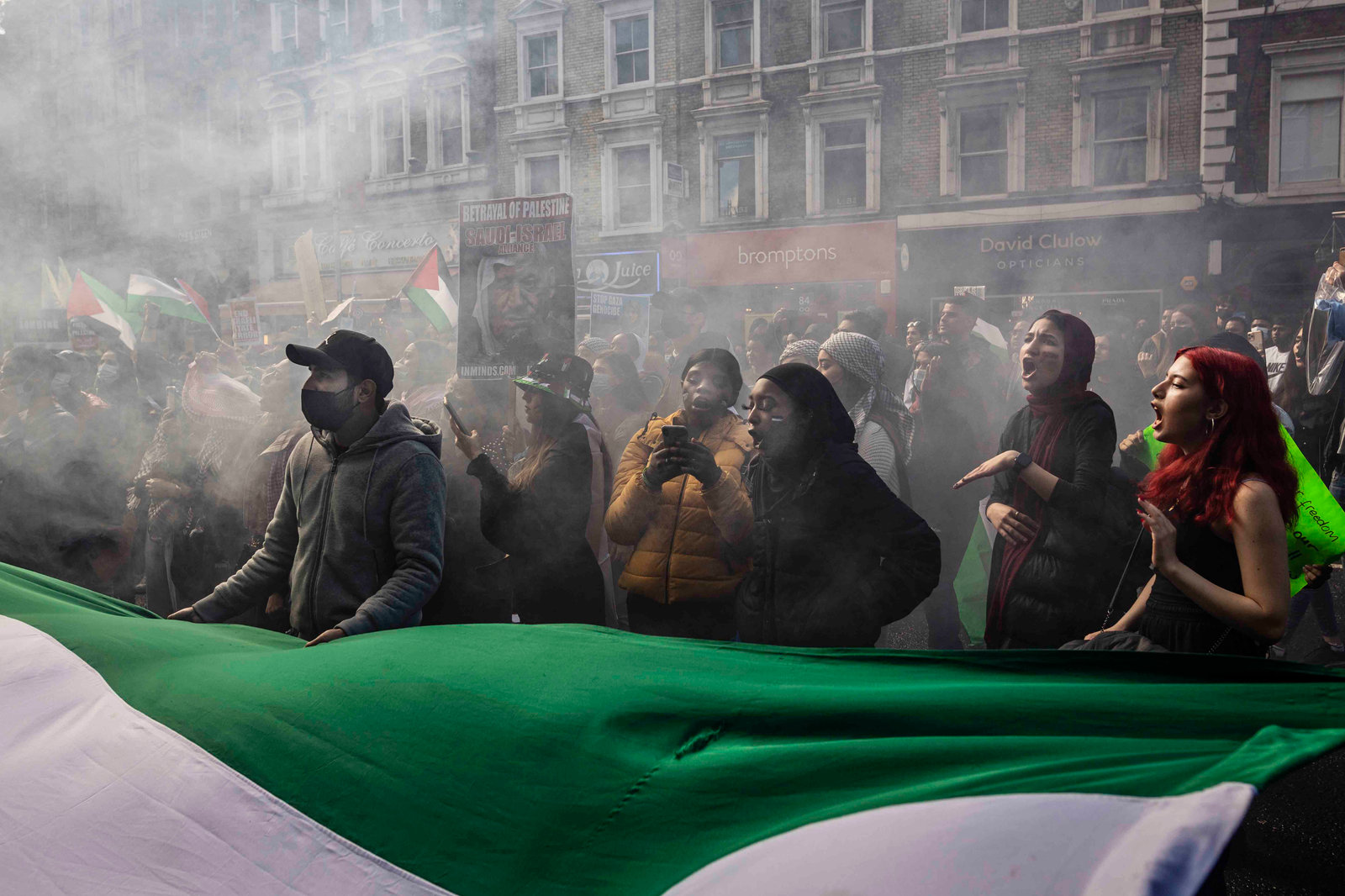 Palestine Protests